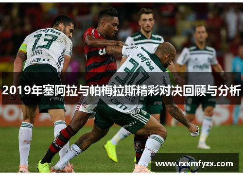 2019年塞阿拉与帕梅拉斯精彩对决回顾与分析